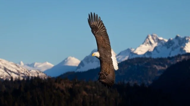 _NT_6709-2p Medium.jpeg