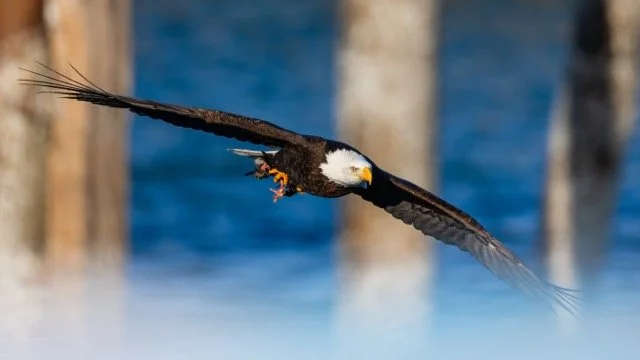 _NT_2543p Medium.jpeg