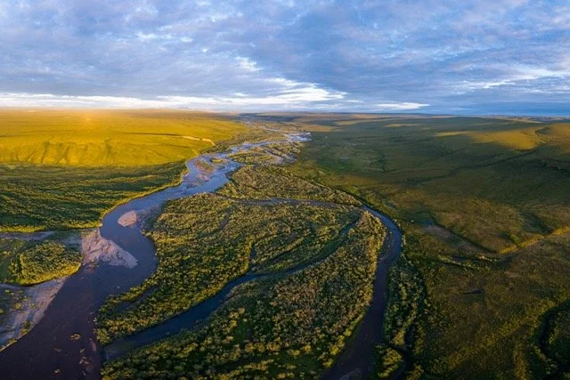 colville-VYN-240709-0006 Medium.jpeg