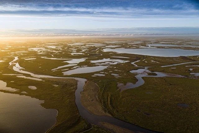 teshekpuk wetlands -VYN-220719-0012 Medium.jpeg