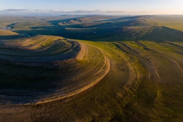 utukok uplandsVYN-250701-0018 Medium.jpeg