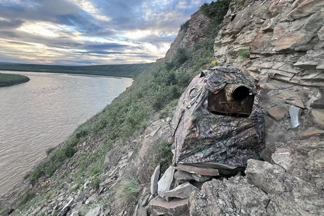 colville--tragopan V7 blind-VYN-240709-0030 Medium.jpeg