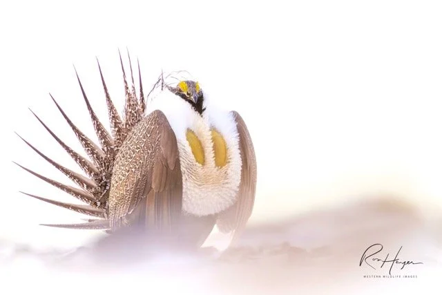 _AK_1688-2-Edit Medium.jpeg