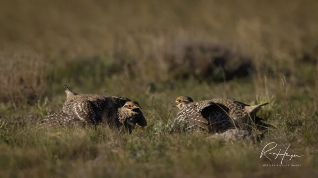 _AK_4369-2 Medium.jpeg