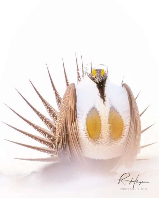 AF032312-A0A1-4454-895F-8CEAAEFE24DA Medium.jpeg