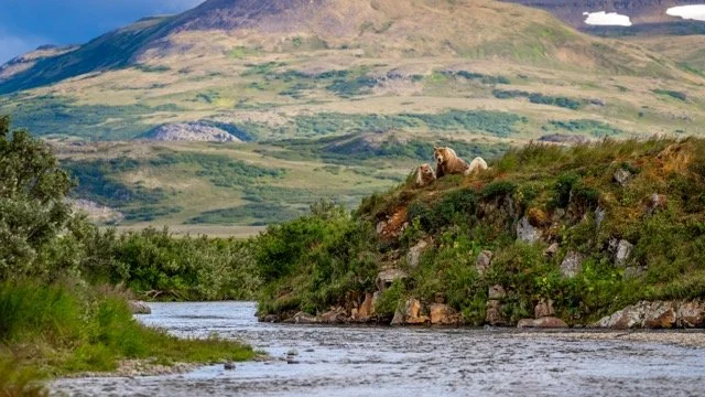 _NT_4945p Medium.jpeg