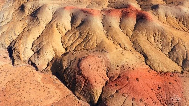 DJI_20260322095806_0627_Dpc Medium.jpeg