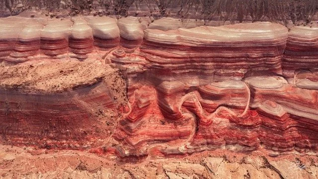 DJI_20260322104443_0651_Dpc Medium.jpeg