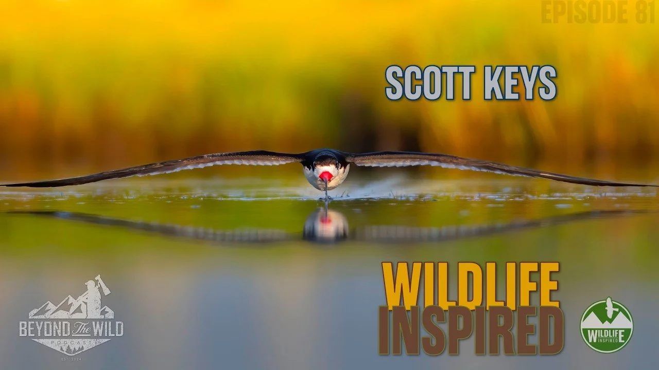 Scott Keys.jpg