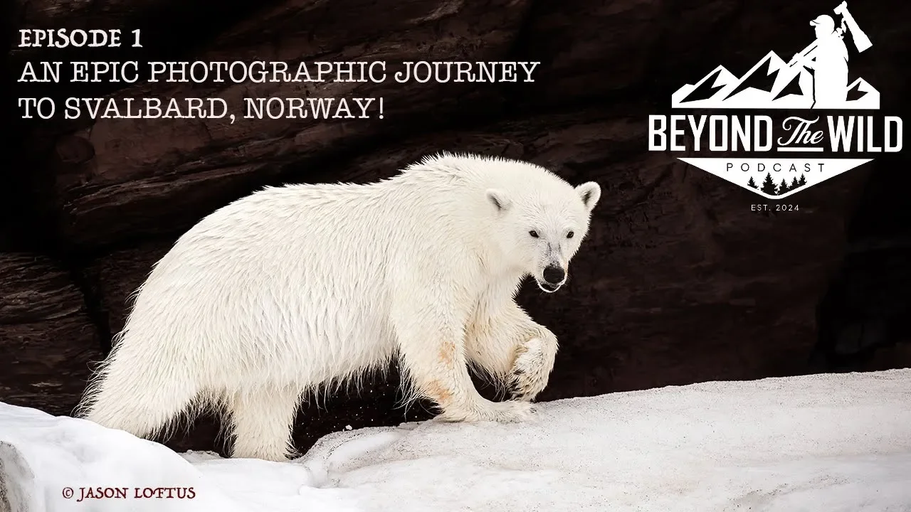 Svalbard.webp