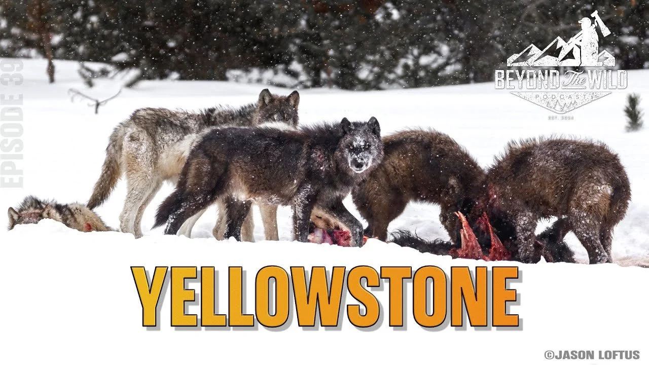 Yellowstone.jpg