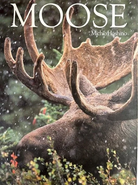 Moose Book Cover MH Medium.jpeg