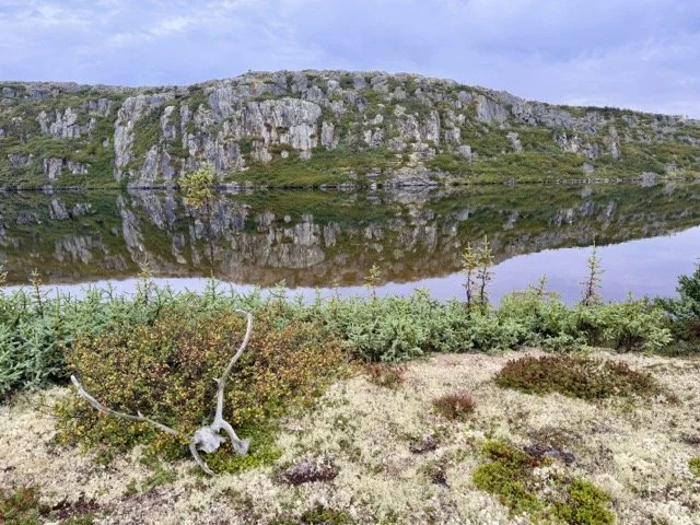 9 VIEW FROM CAMP Medium.jpeg