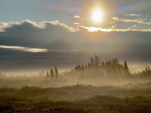 10.2 BEAUTIFUL MISTY HIKE AT DAYBREAK Medium.jpeg