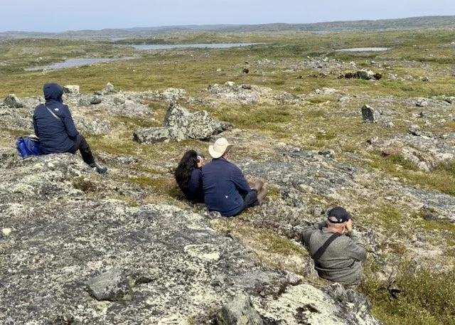 22 GROUP WITH MUSK OX Medium.jpeg