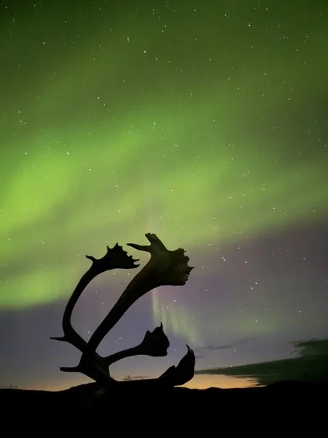 27 NORTHERN LIGHTS 1 Medium.jpeg