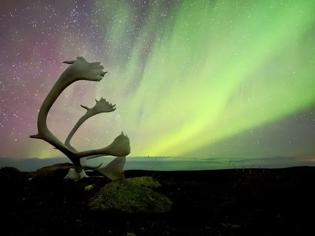 27.6 NORTHERN LIGHTS 7 Medium.jpeg