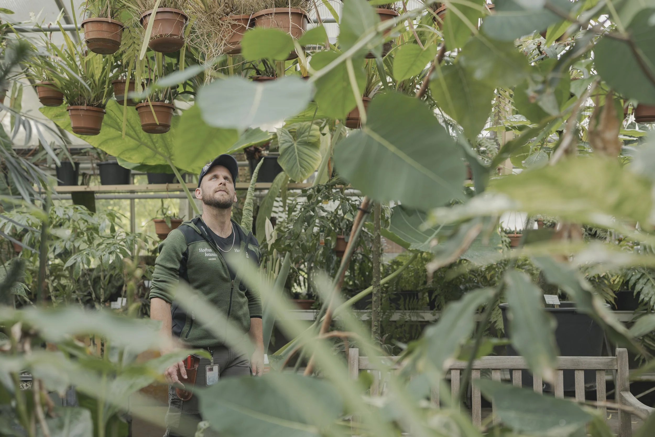 HortusBotanicus-7.jpg