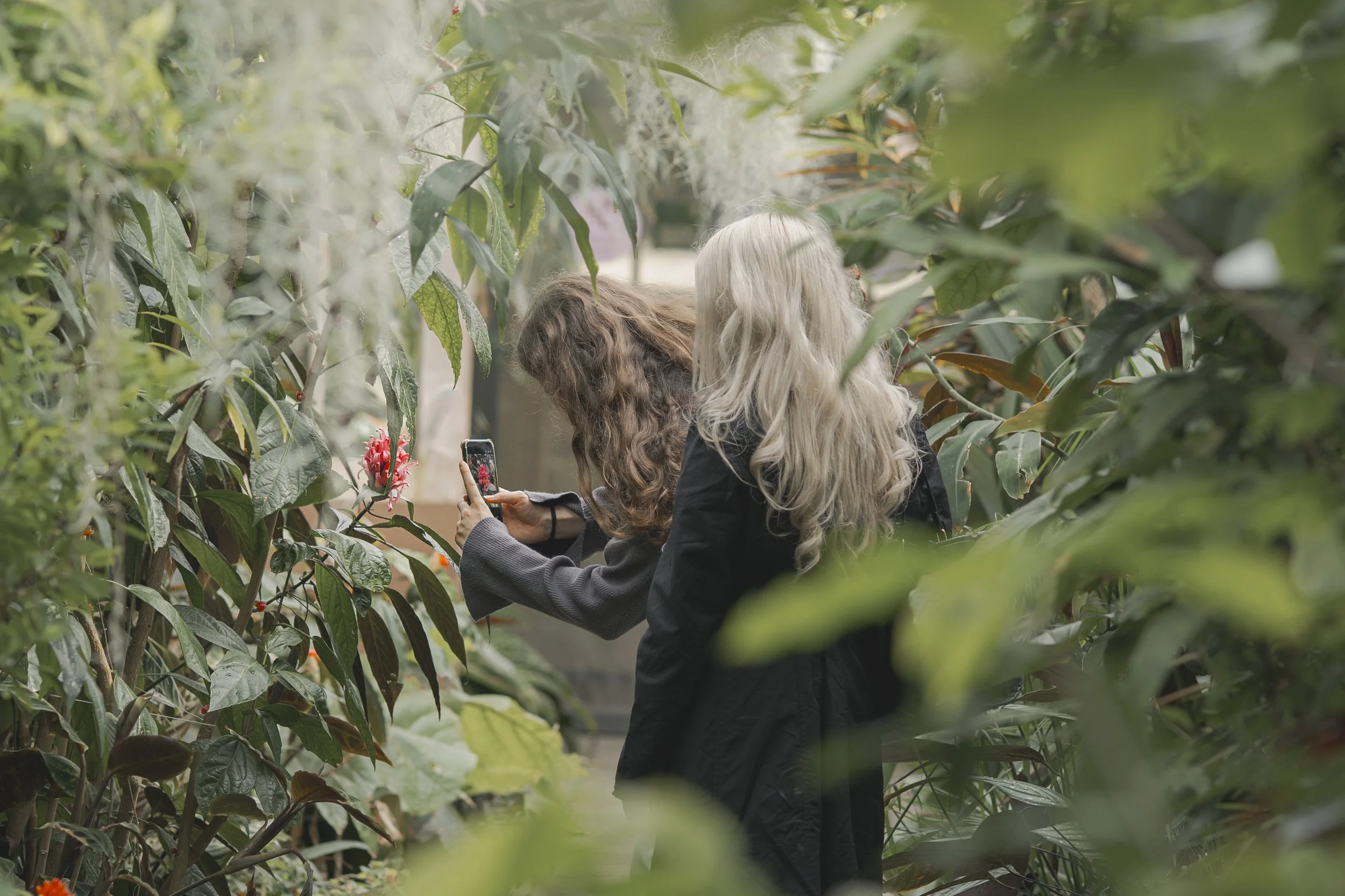 HortusBotanicus-8.jpg