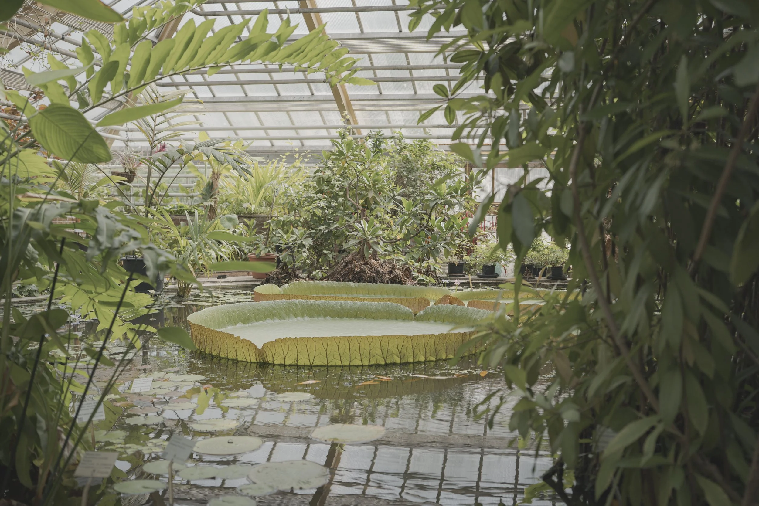 HortusBotanicus-9.jpg