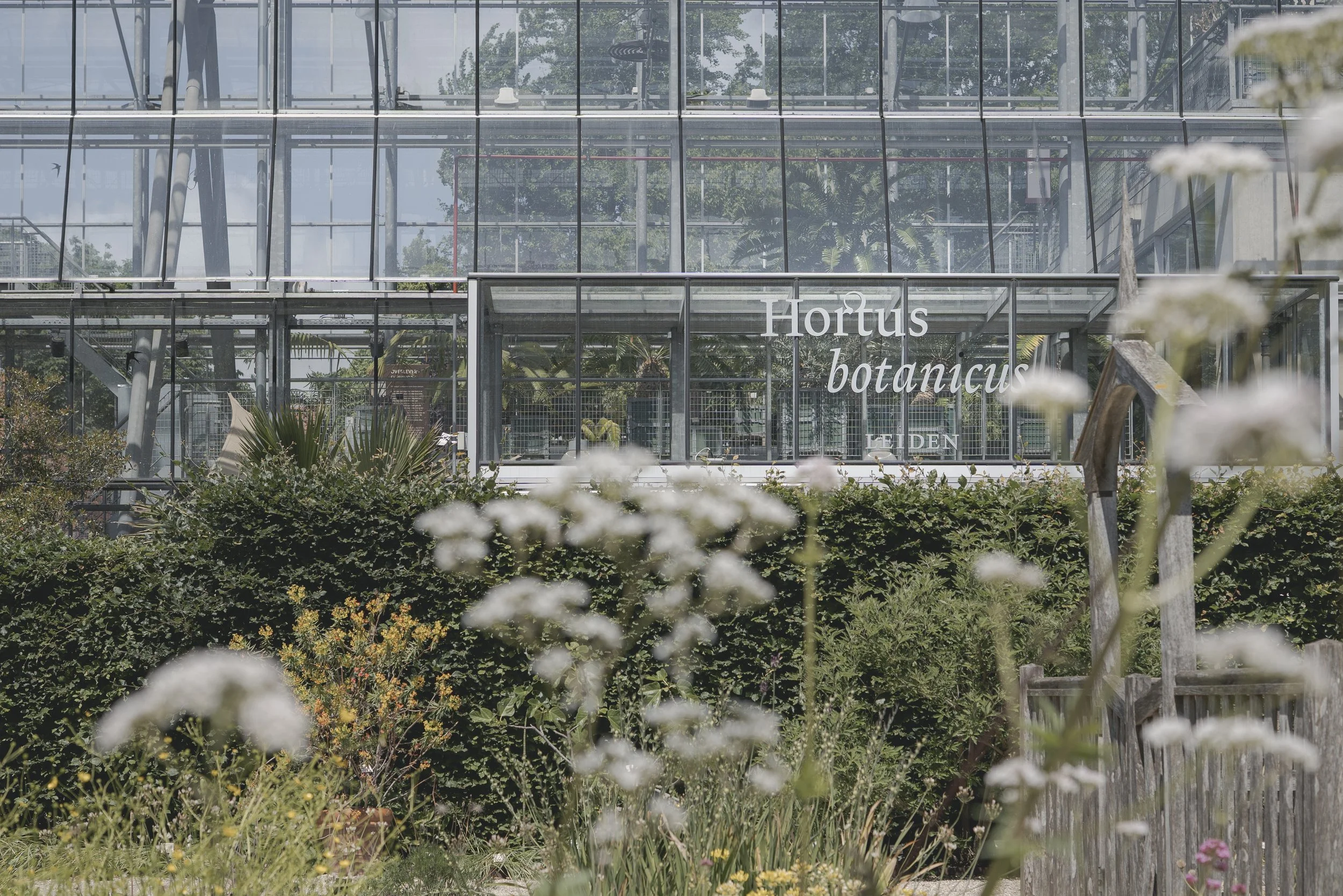 HortusBotanicus.jpg