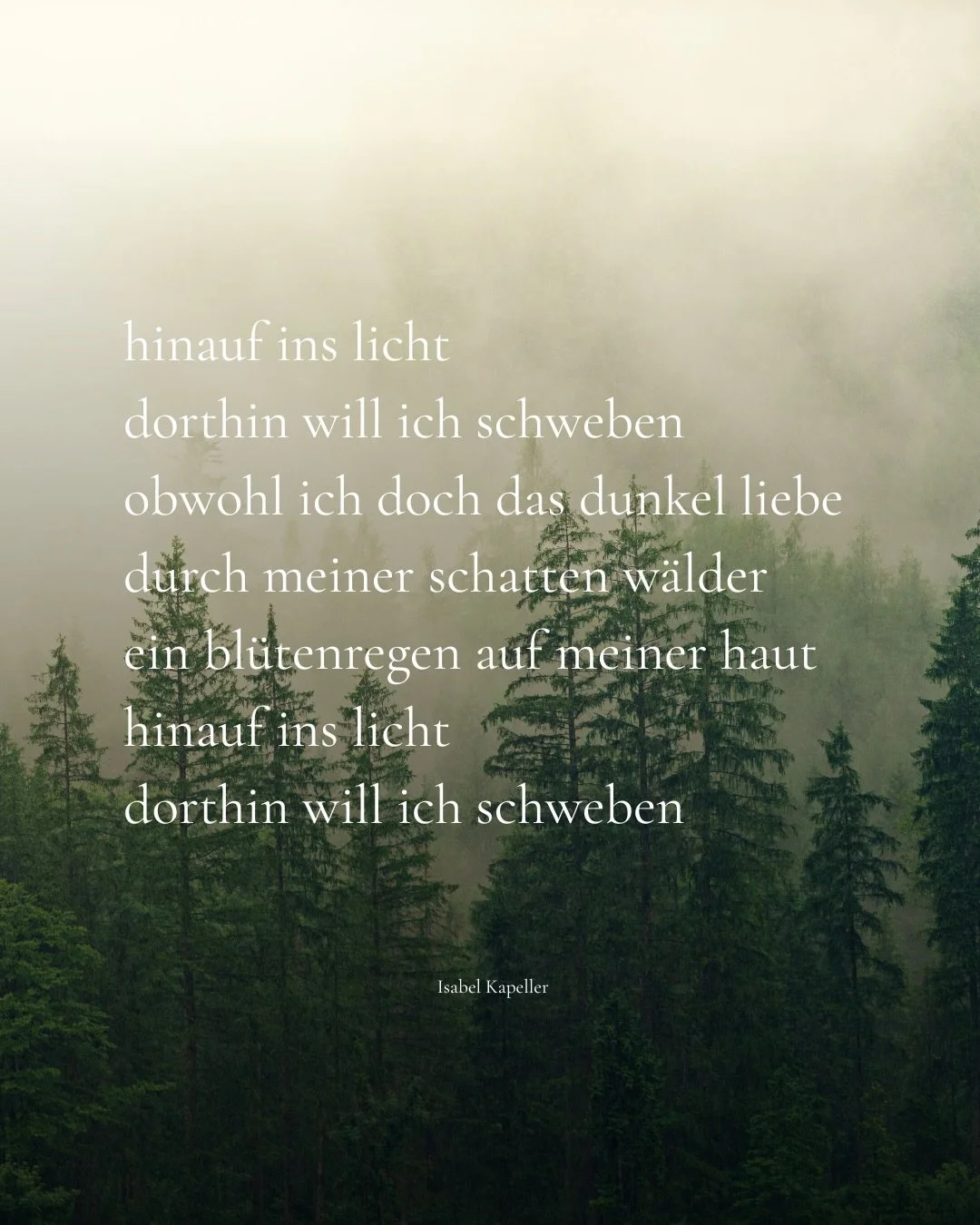 Man tr&auml;gt das Dunkel lange in sich. Man kennt seine Wege, seine Tiefe. Und trotzdem gibt es diesen leisen Zug nach oben. Nicht als Flucht, viel mehr als Bewegung. 

Vielleicht geht es genau darum, beides halten zu k&ouml;nnen. Die Schwere, und d