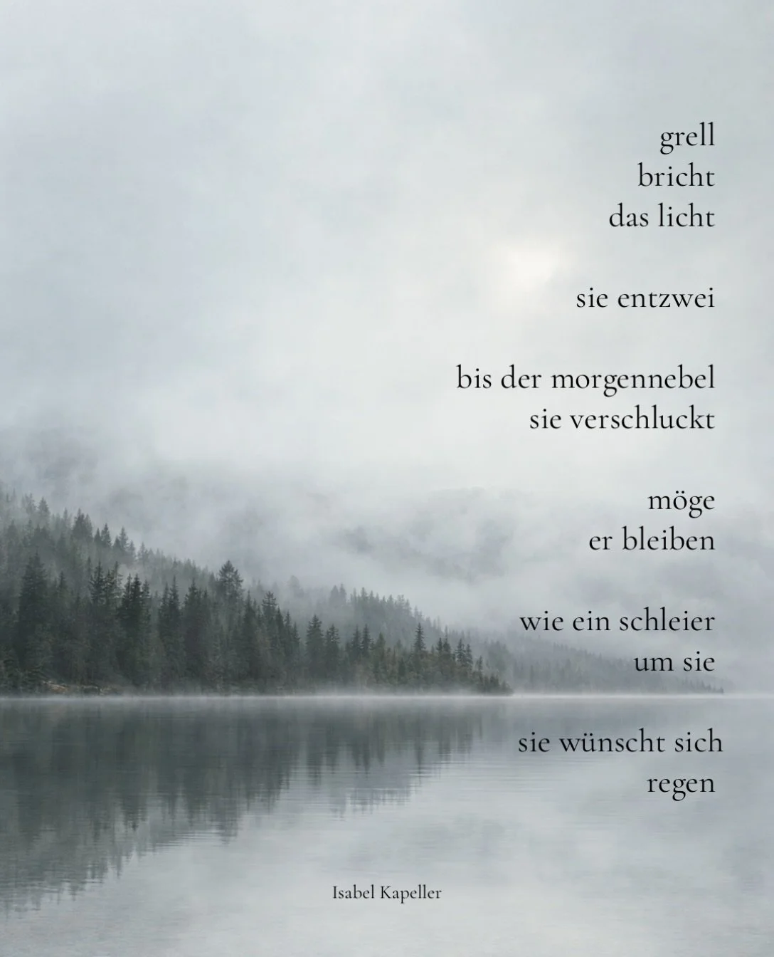 #lyrik#poesie#gedicht#verletzlichkeit
#heilung