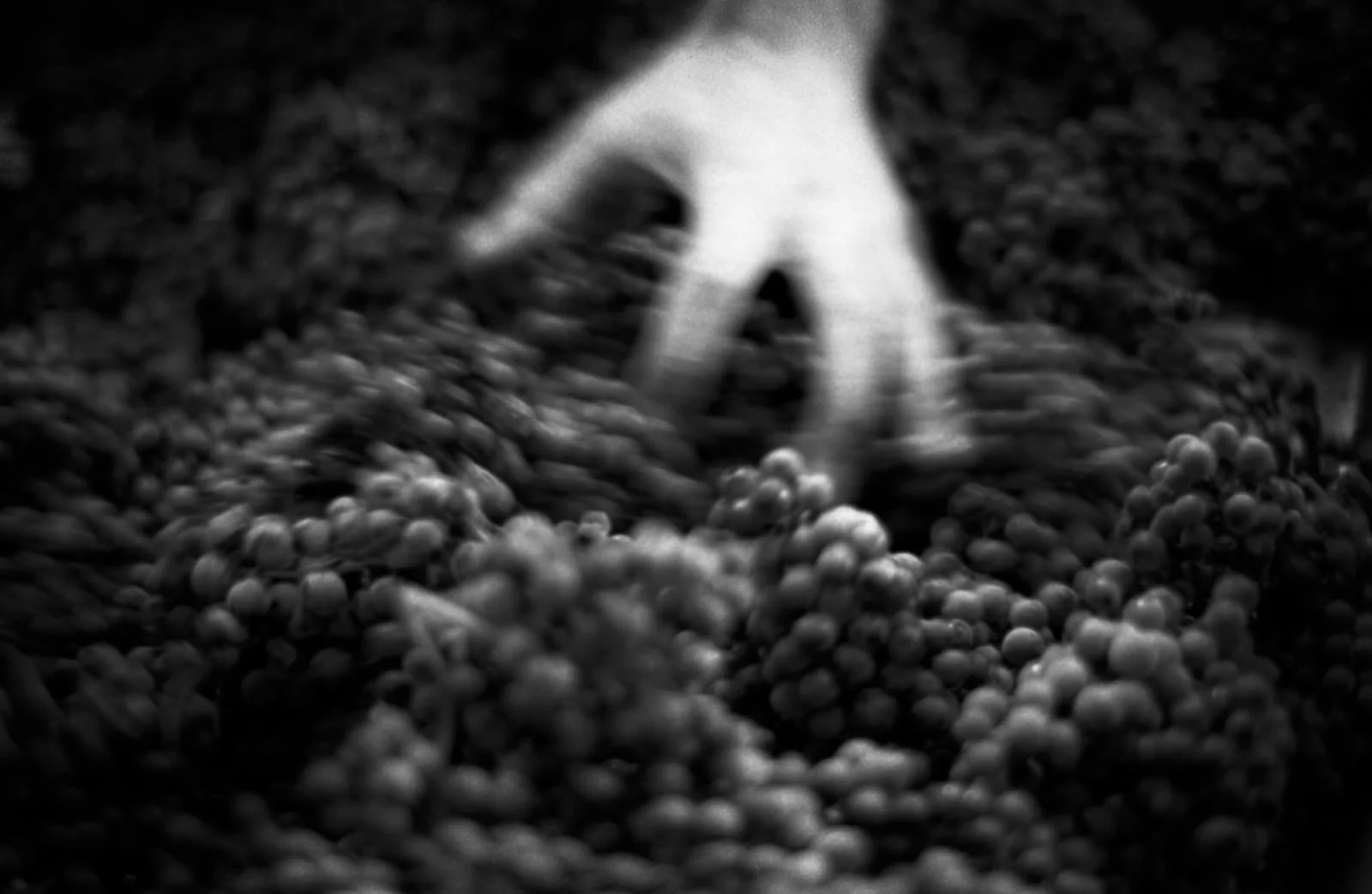 untitled-2.jpg