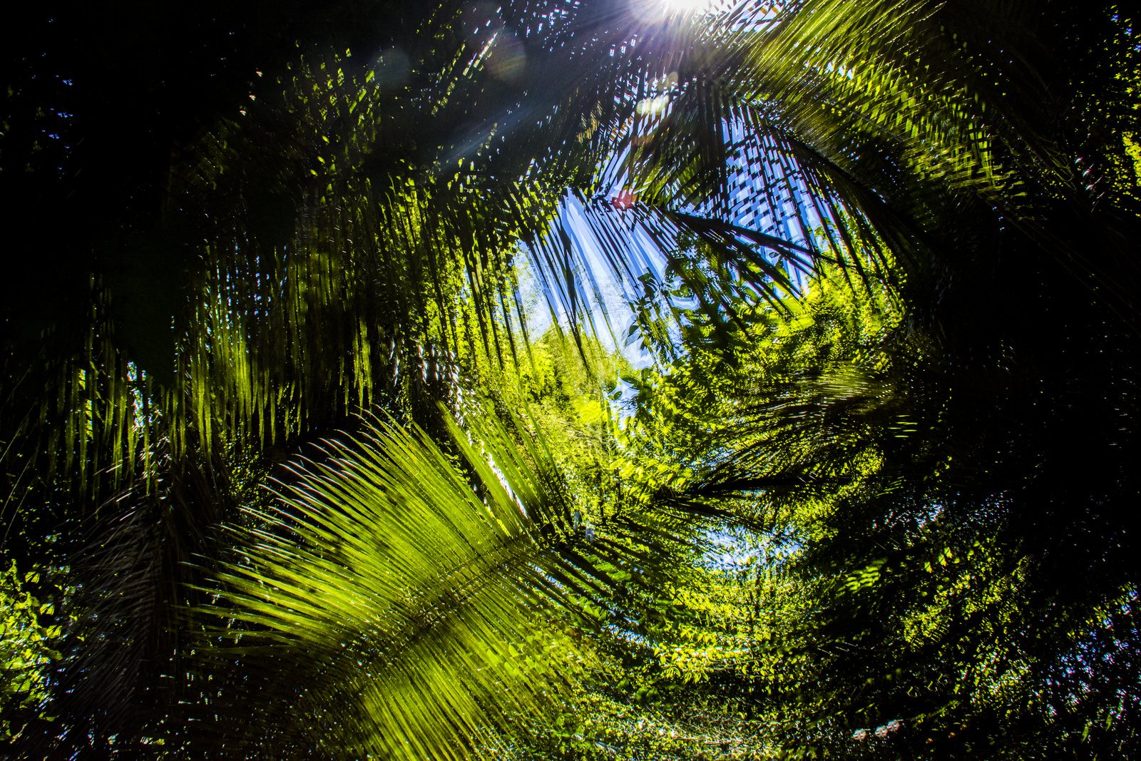 Amazonas_Abstractos-8.jpg