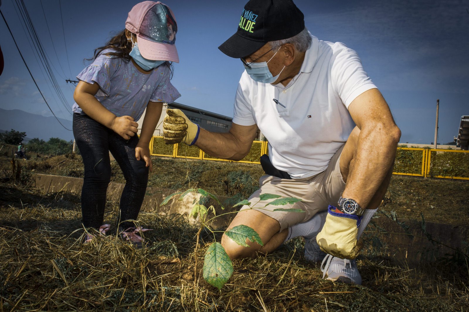 COLOMBIA 2020. Cúcuta municipal tree-planting campaign.

22 December 2020. Ciudadela El Progreso, Cúcuta, Norte de Santander, Colombia. Mayor Jairo Yáñez kneels alongside a young girl from the community to plant a sapling during the city's "Un voto, 