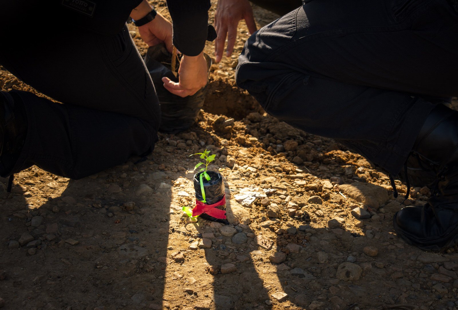 COLOMBIA 2020. Cúcuta municipal tree-planting campaign.

22 December 2020. Ciudadela El Progreso, Cúcuta, Norte de Santander, Colombia. Police officers kneel to prepare a planting hole next to a young sapling during the city's "Un voto, un árbol" env