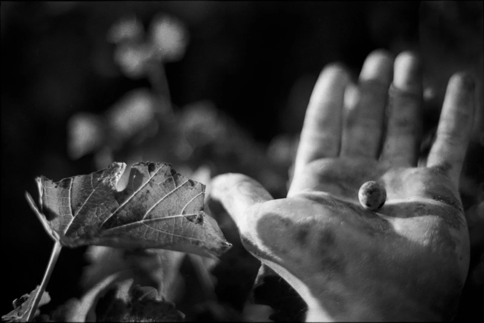 untitled-3.jpg
