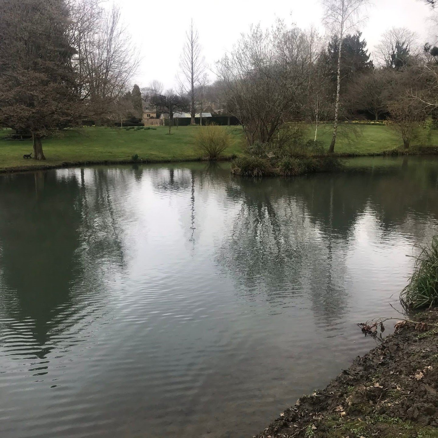 Lake creation and reshaping is just one of the many services we offer. If your pond or lake appears to be in poor condition and requires a transformation, please reach out to us!

Swipe right to view the lake's appearance prior to its transformation.