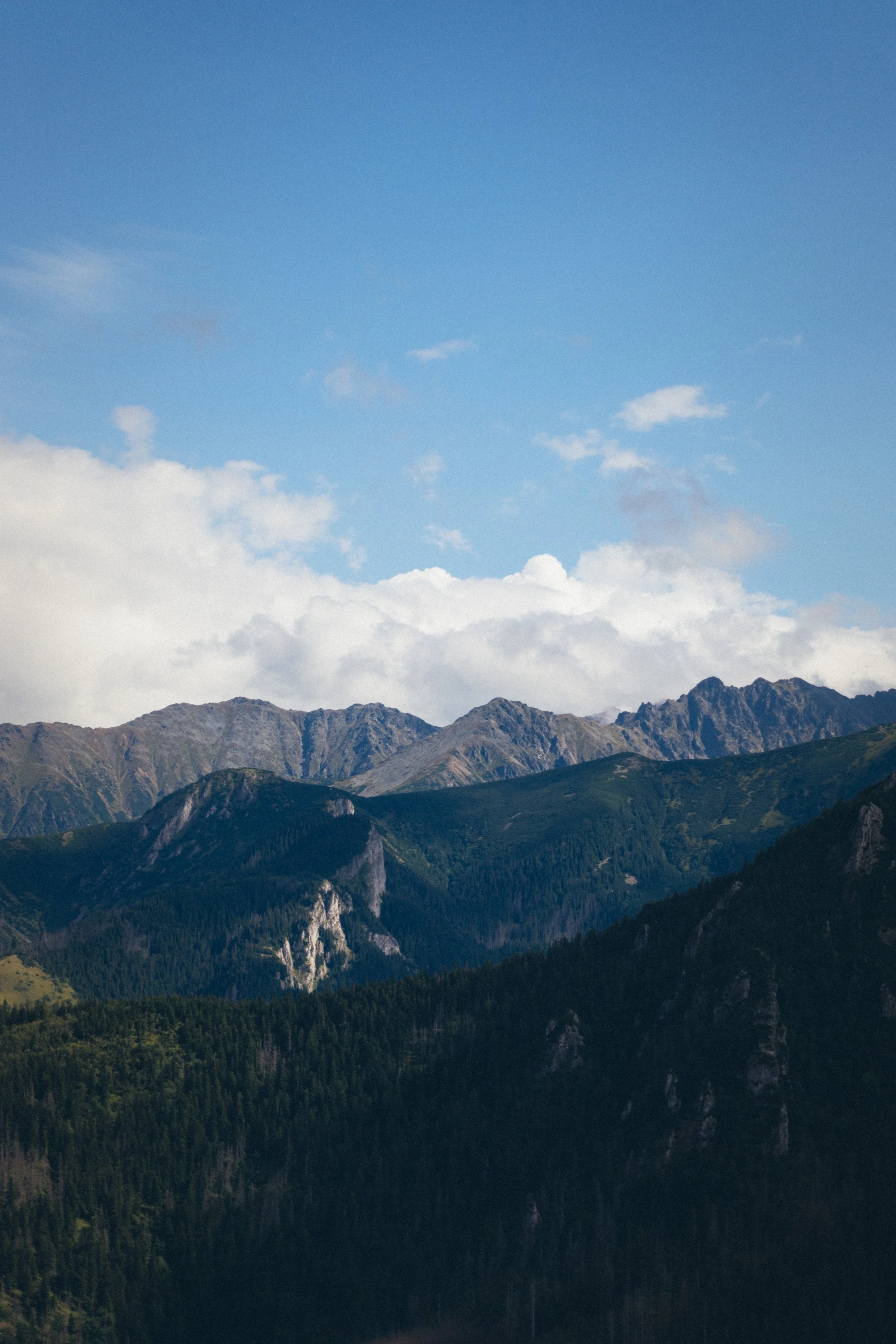 Estate, Legacy & Stewardship