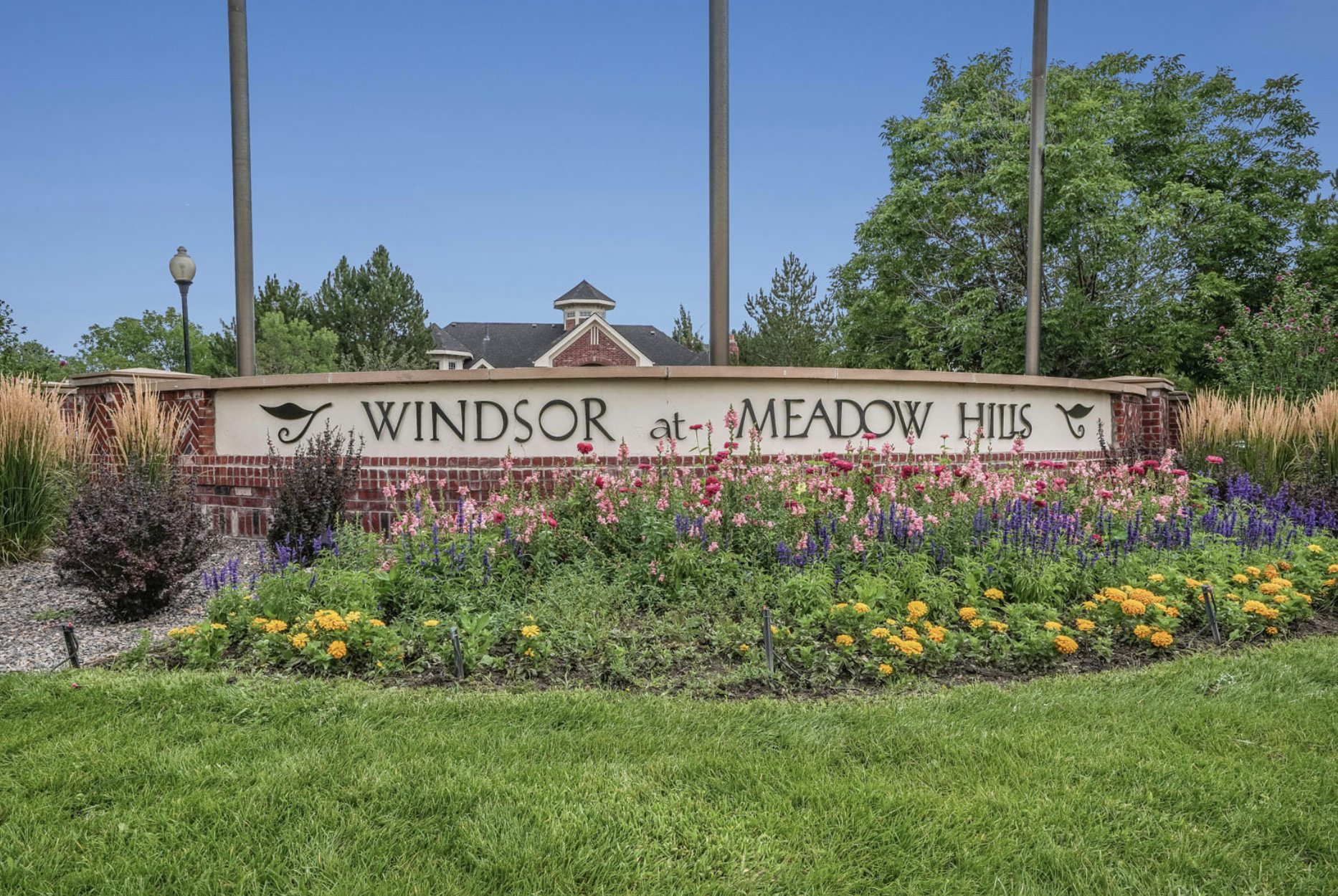 meadow-hills-1.png