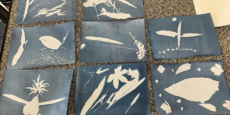 Wellbeing in Nature - Sun Printing