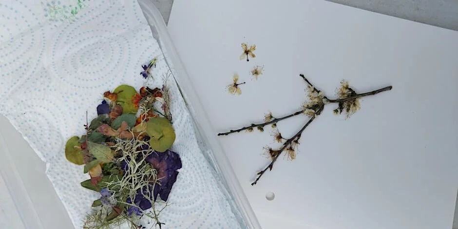 Wellbeing in Nature - Autumn Hapa-Zome