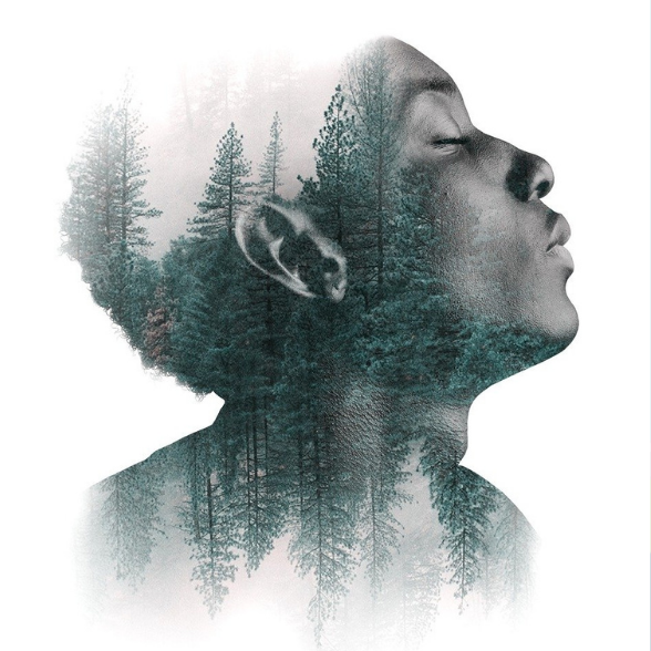 Walk & Talk: Mindful Wellness Walk