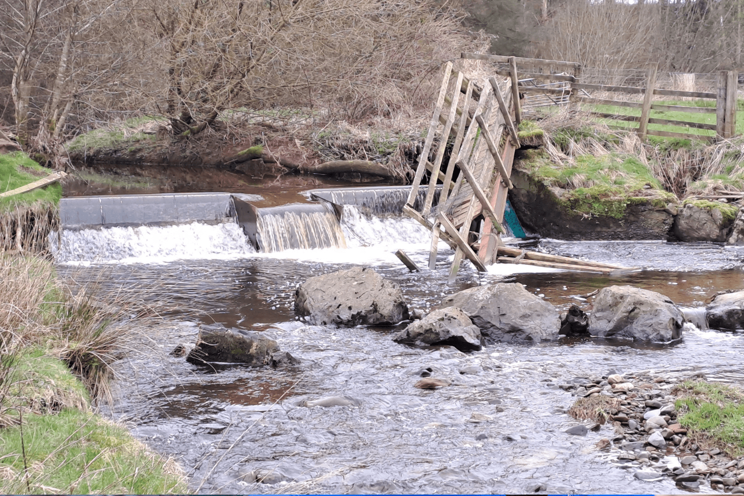 Removing barriers and restoring flows - three river restoration projects from this summer&nbsp;