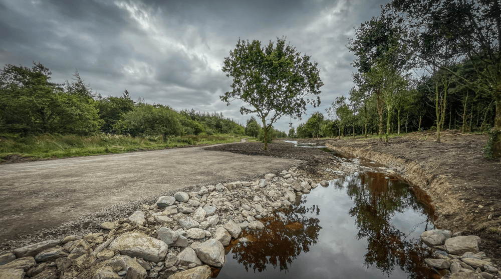 Restoring our rivers - walk & talk