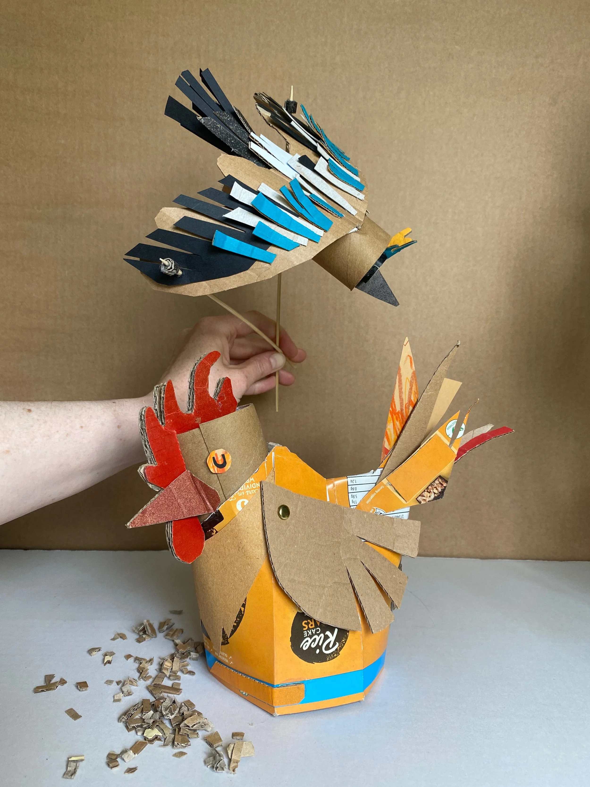 Festival of Curiosity