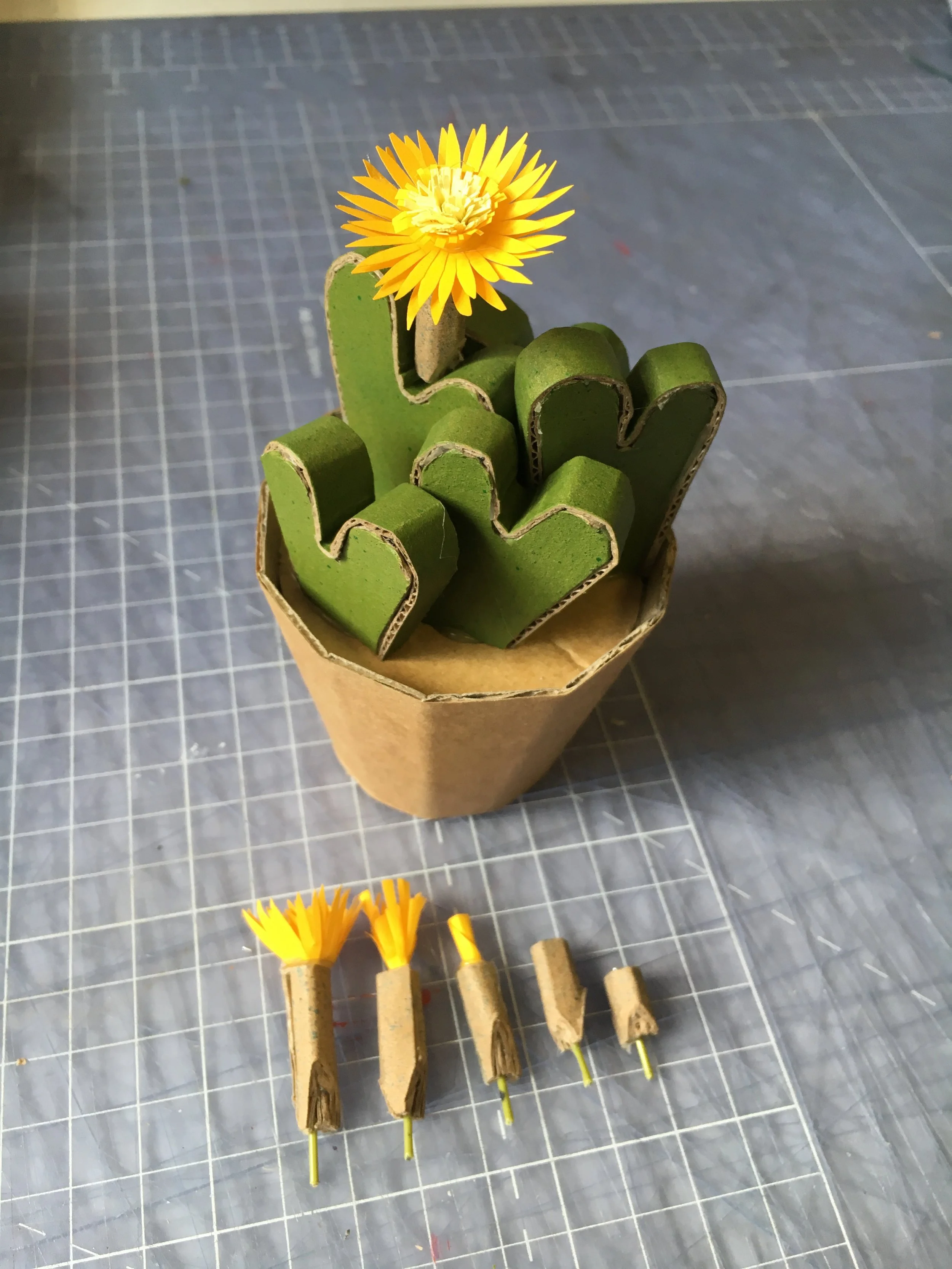 Living Pebble | Conophytum bilobum