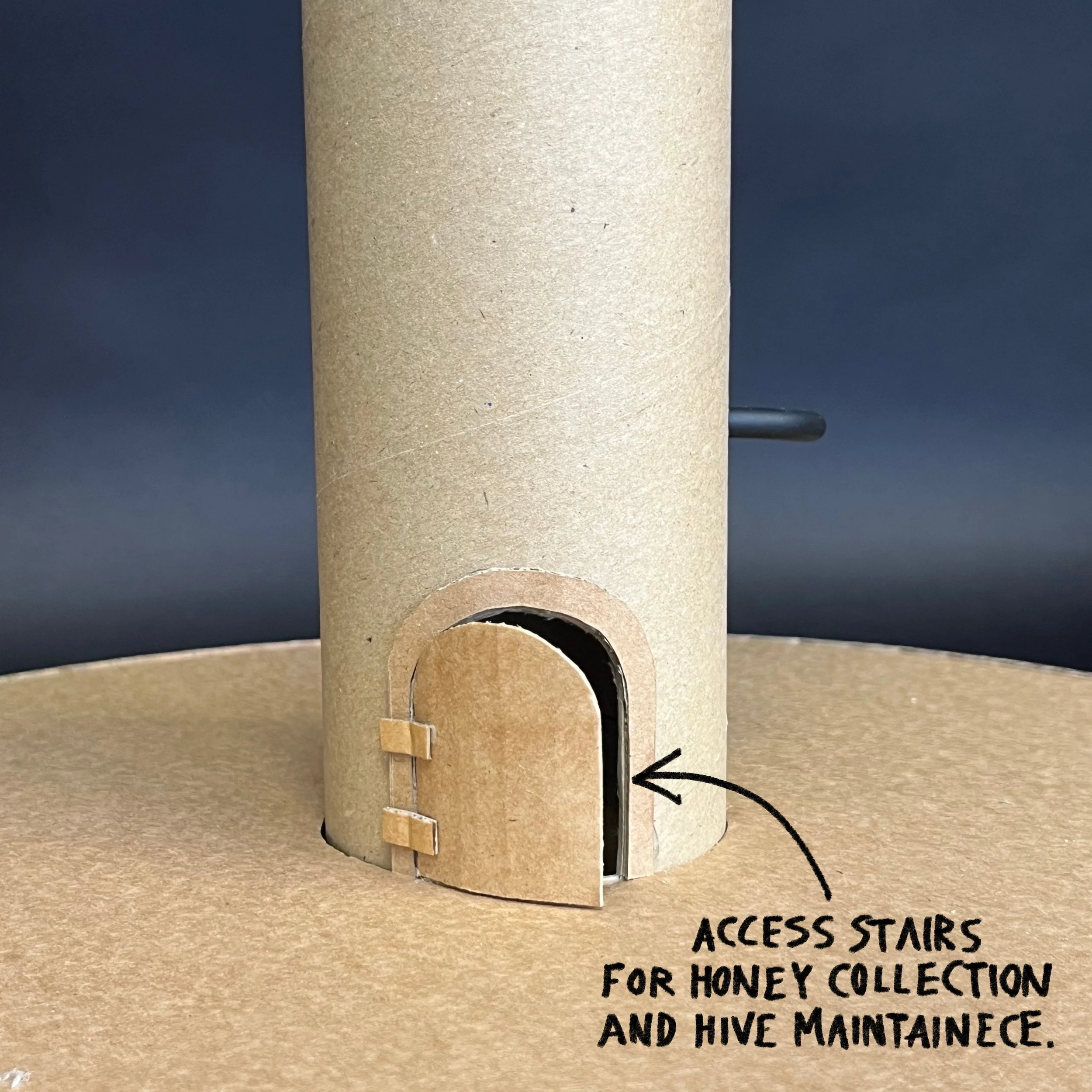 access to honey stairs.jpg