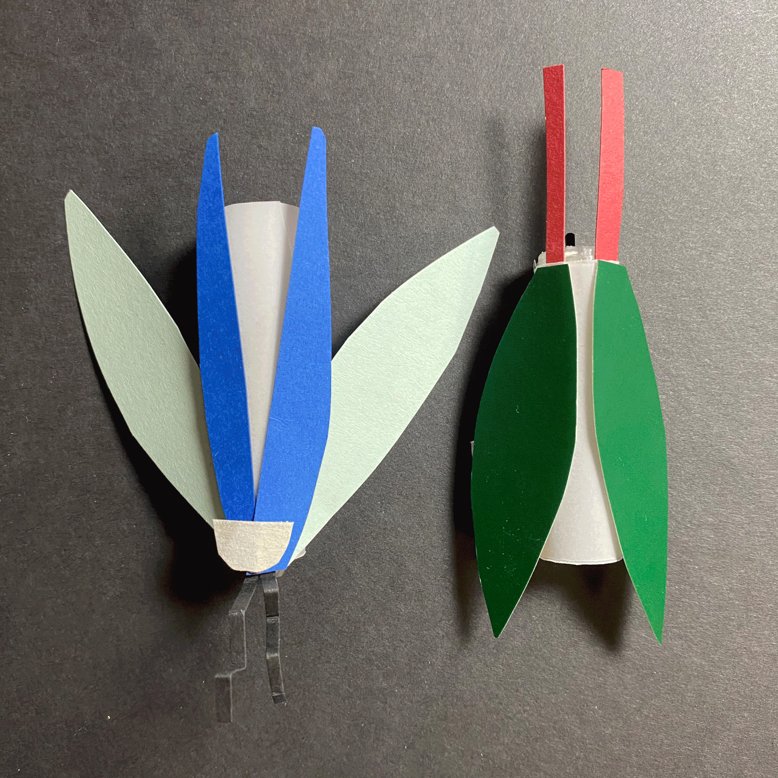 Nightfall - Glowbugs