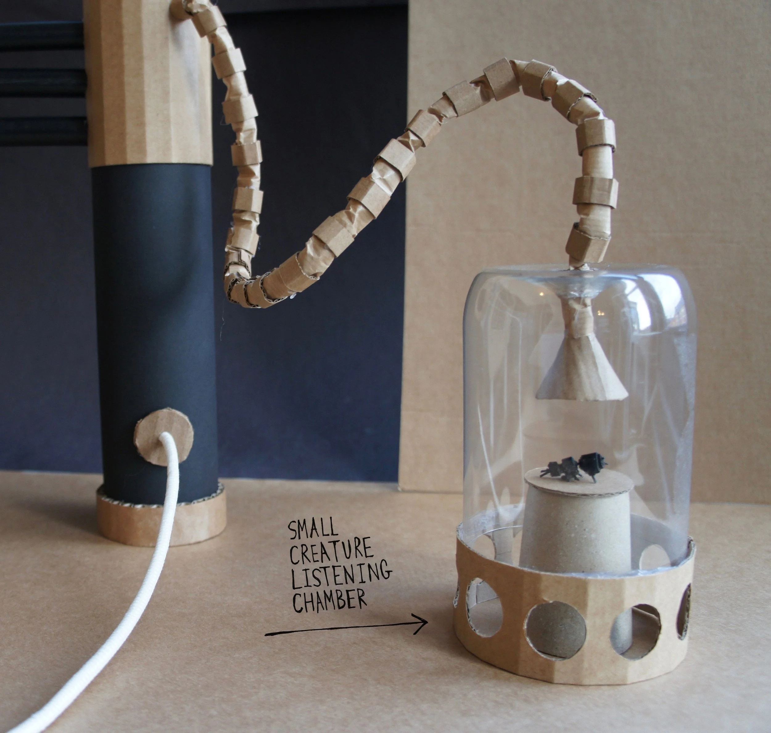 ListeningChamber-AnimalTranslation.jpg