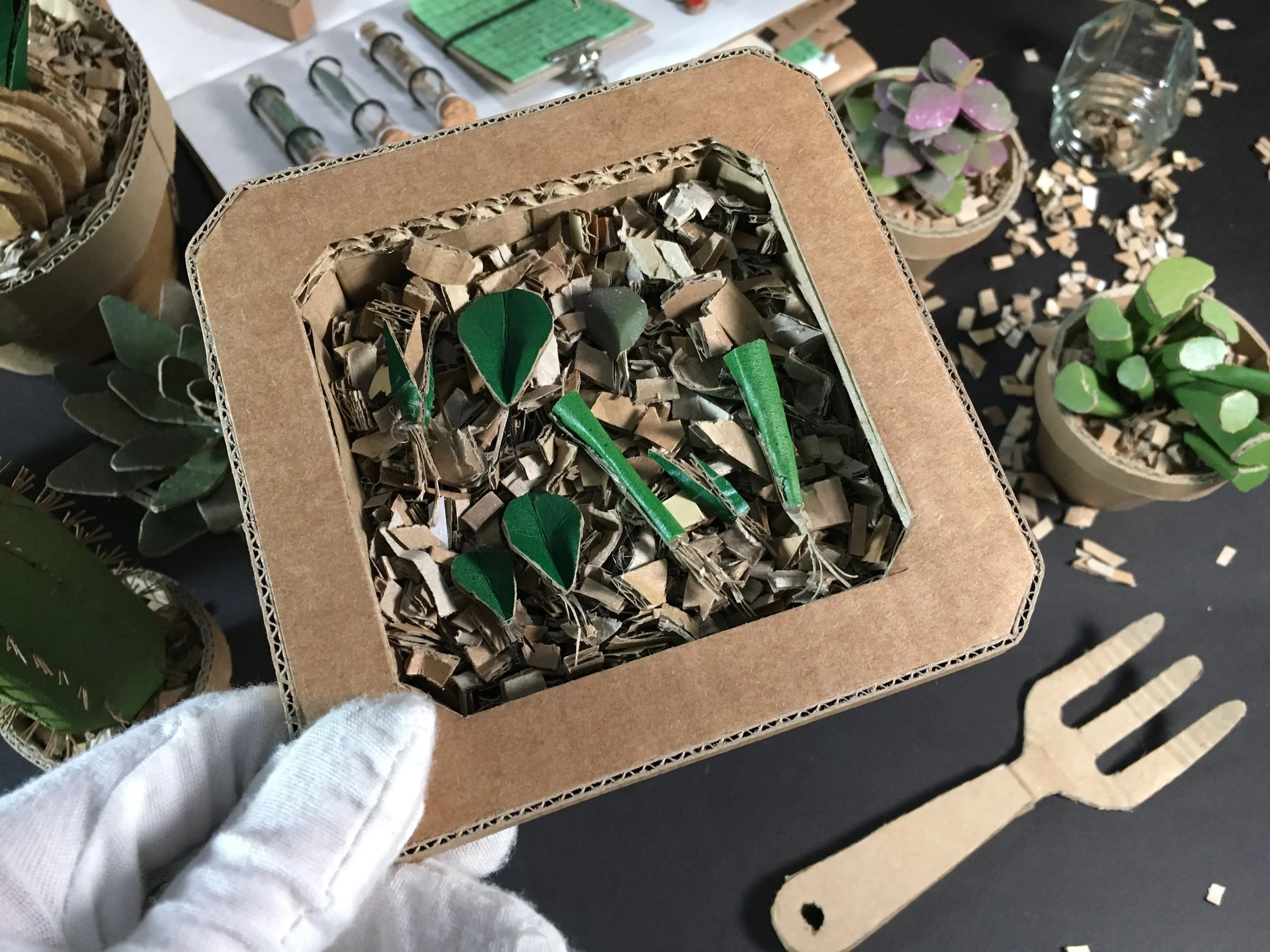 Propagation Tray