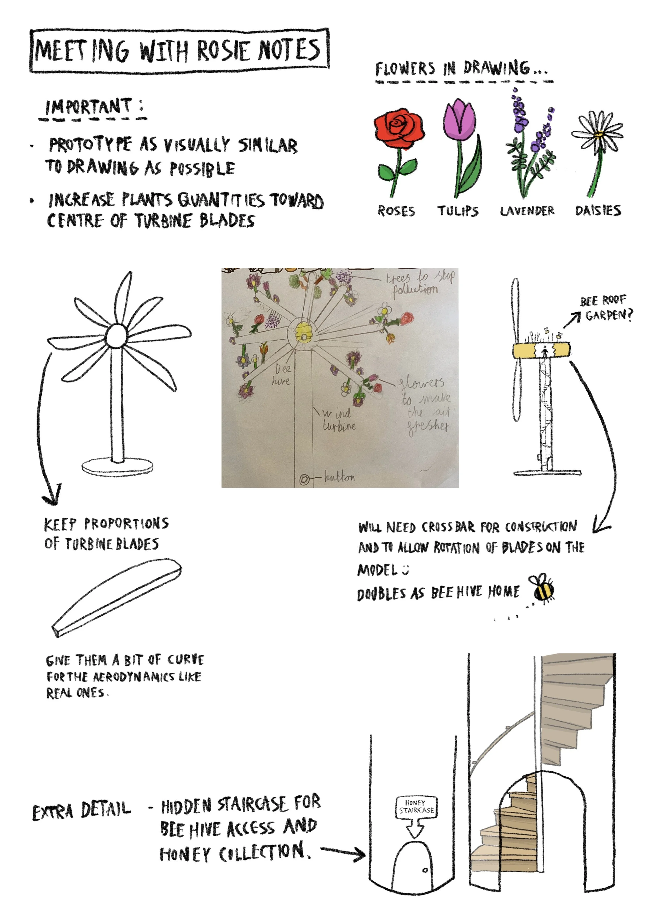 meeting with rosie notes.jpeg