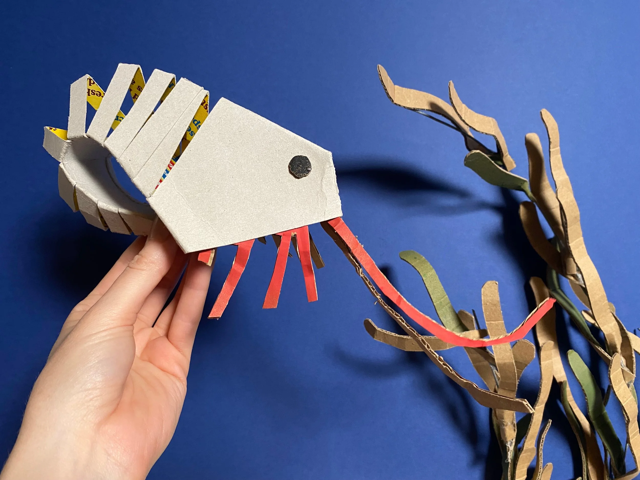 LI / Fest of Thrift - Cereal Box Shrimps