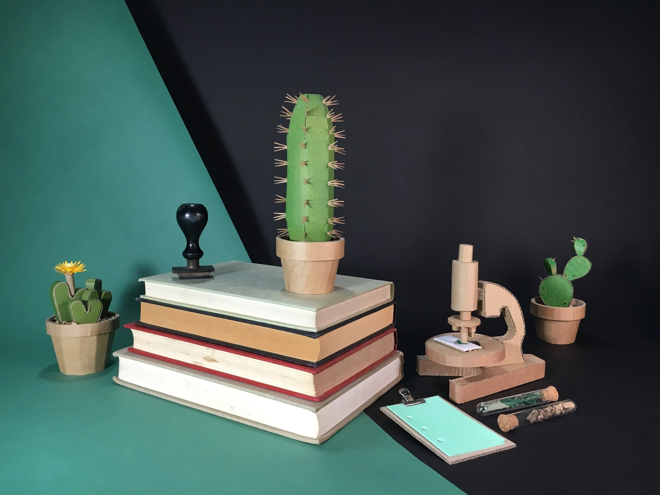 Cacti Research and Experimentation