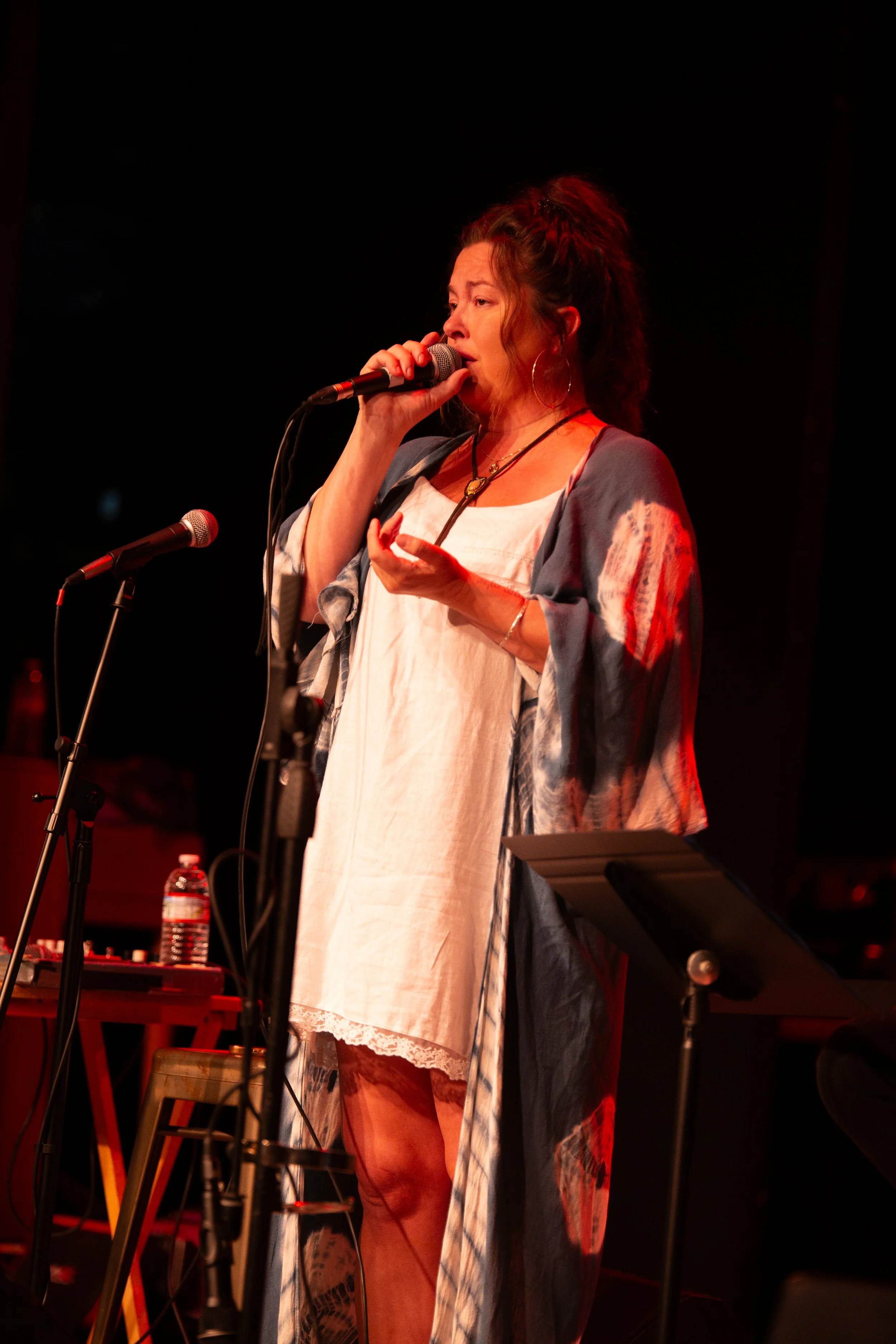 Playhouse_ConcertSeries1_0019.JPG